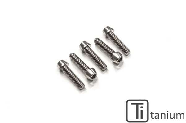 TOP TRIPLE CLAMP SCREW KIT - TITANIUM