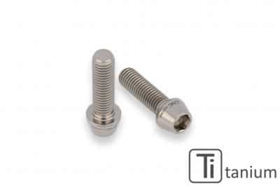 Rear Hub Swingarm Pinch Bolt (2 pcs) - TITANIUM