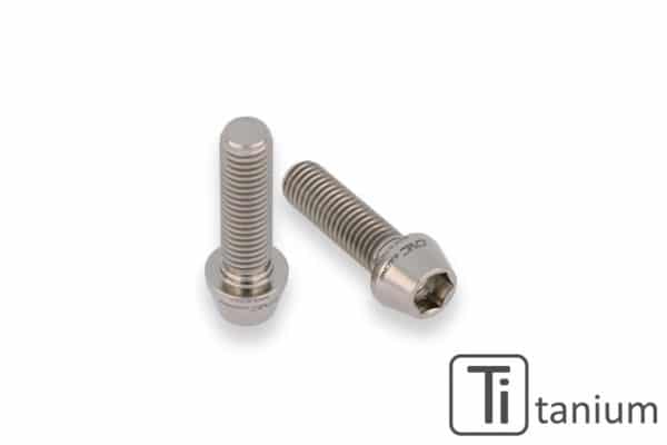 Rear Hub Swingarm Pinch Bolt (2 pcs) - TITANIUM