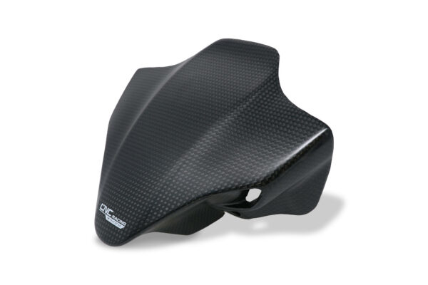 Sport screen Ducati Streetfighter V4 - carbon