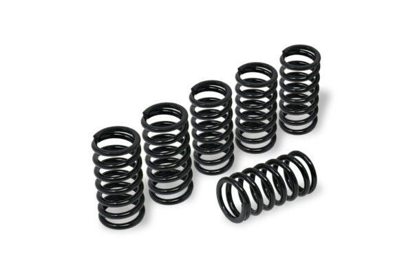 Clutch springs H45 - BMW - Image 2