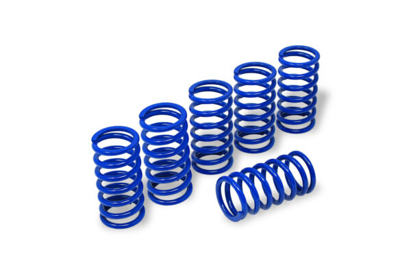 Clutch springs H45 - BMW - Image 3