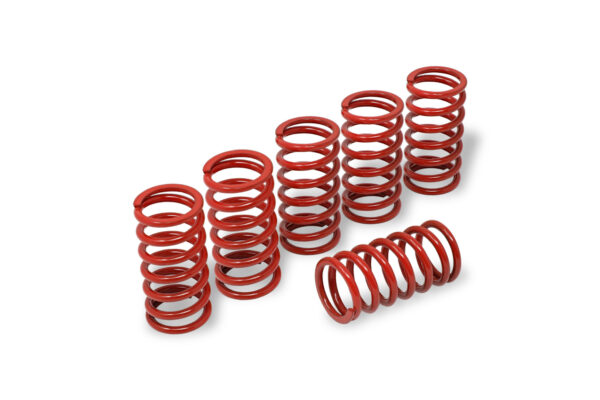 Clutch springs H45 - BMW - Image 4